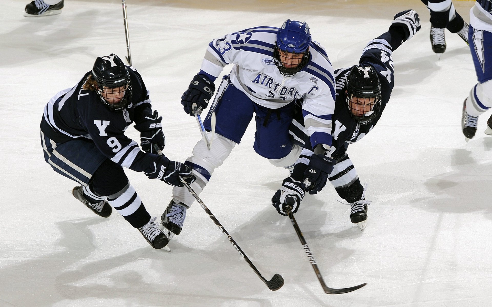 乐鱼app官方下载-球员特写：细数联盟中的技术天才，球星技能